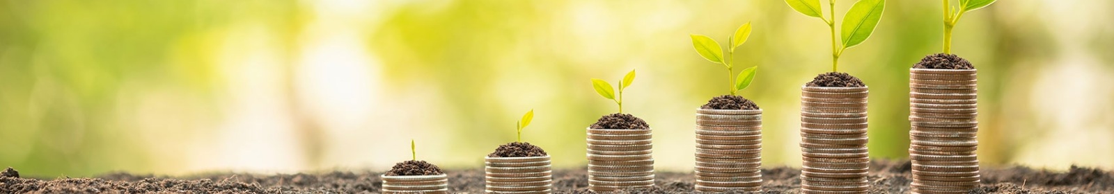 plants sprouting from a stack of coins