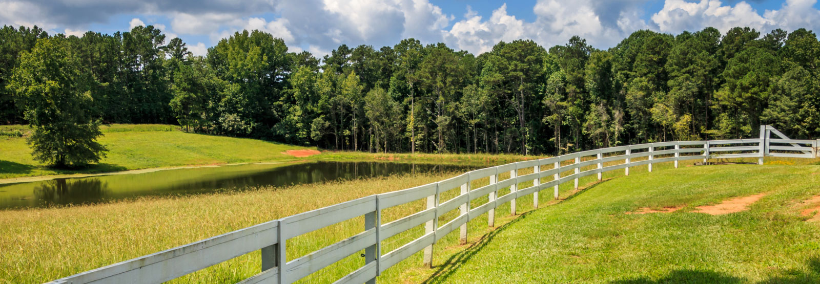 white fence