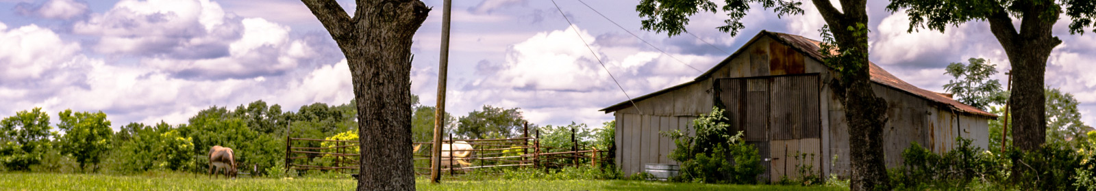 view of barn